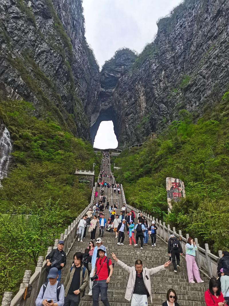张家界：自由飞翔的心灵之旅