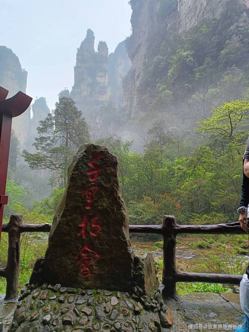 探索神秘张家界：与旅行社共赴自然之约