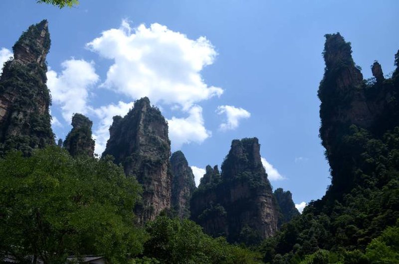 探寻张家界美景之旅:旅行社带你领略自然奇观