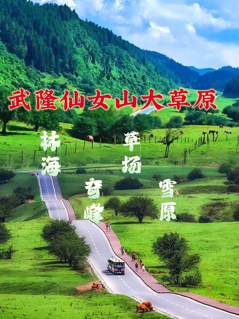 走进张家界:感受世界自然遗产的原始美