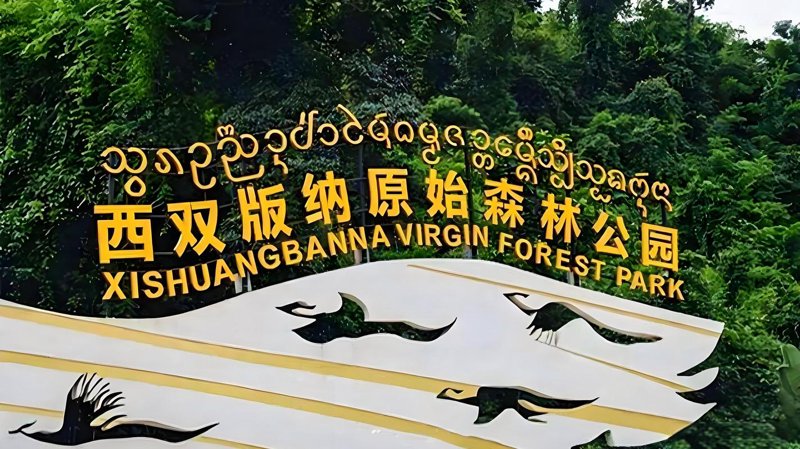 森林公园旅游